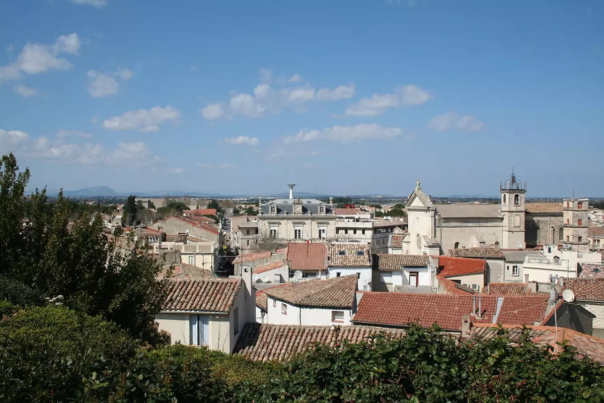 Les Puces de Carnon-Plage