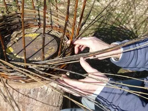 Stage d'initiation à la vannerie