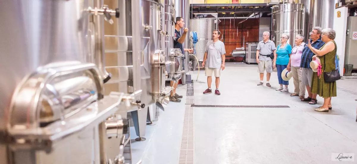 Dans les coulisses du vin : Visite guidée de la cave & dégustation commentée - Domaine Vayssette