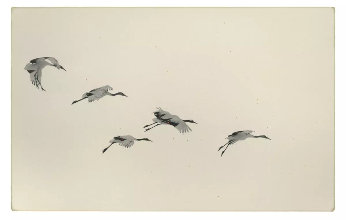 Exposition de Yamamoto Masao