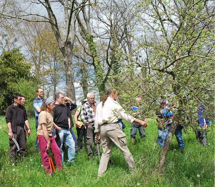 La taille des fruitiers Stage