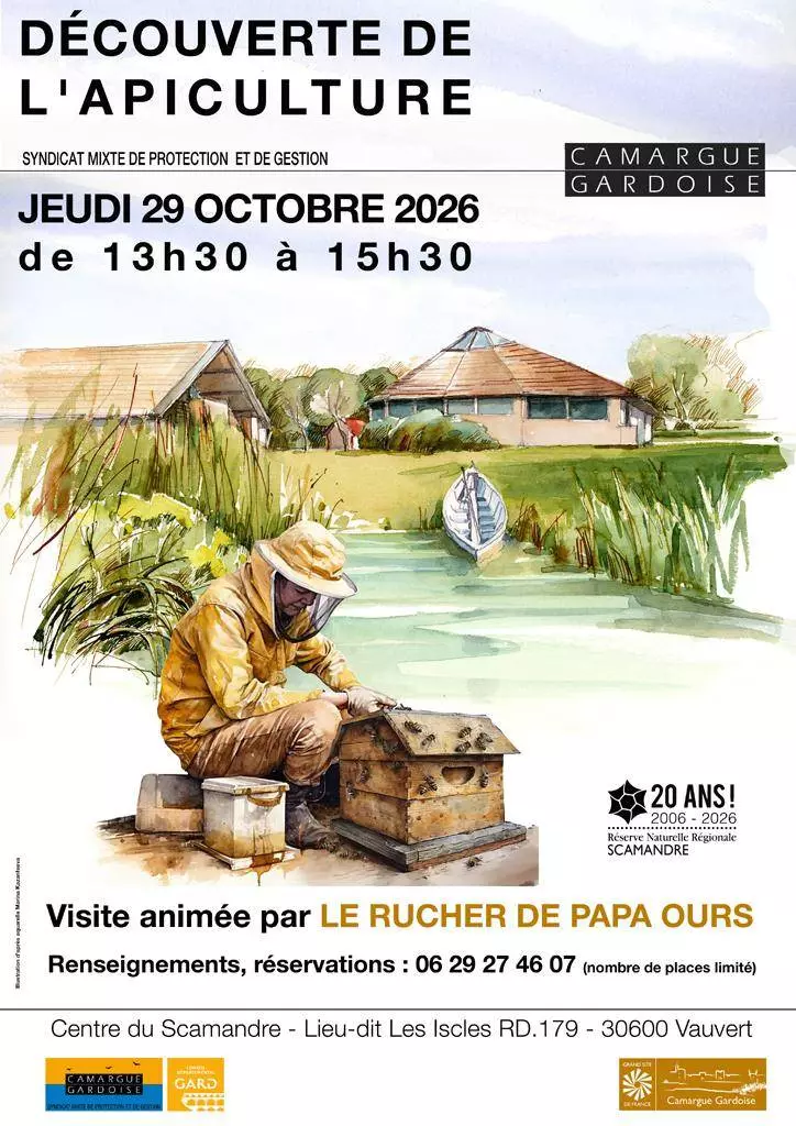Découverte de l'apiculture