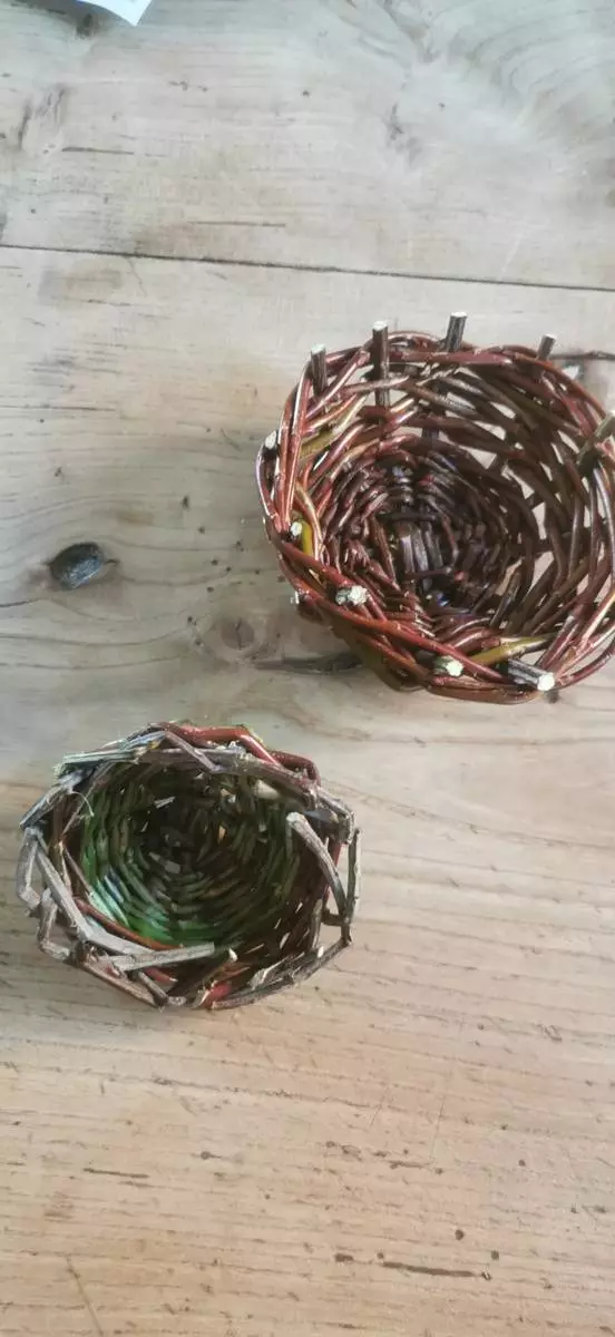 Atelier : Corbeille en vannerie de ronce