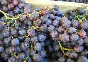 Petit Marché Traditionnel de Quarante