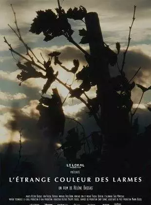 Ciné Débat "l'étrange couleur des larmes"