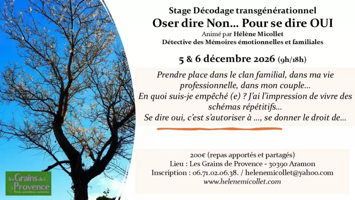 Stage décodage transgénérationnel - Oser dire non pour se dire oui