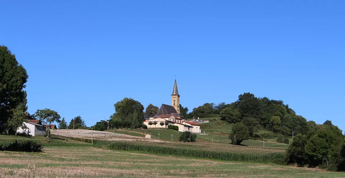 Observation des oiseaux au lac de Puydarrieux