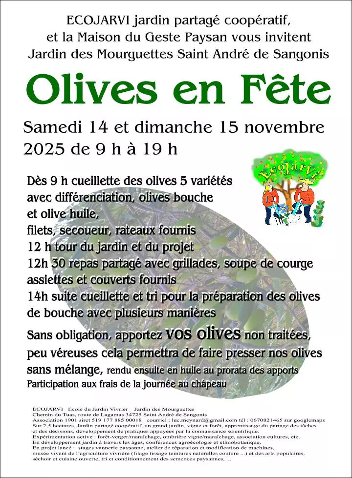 Olives en Fête