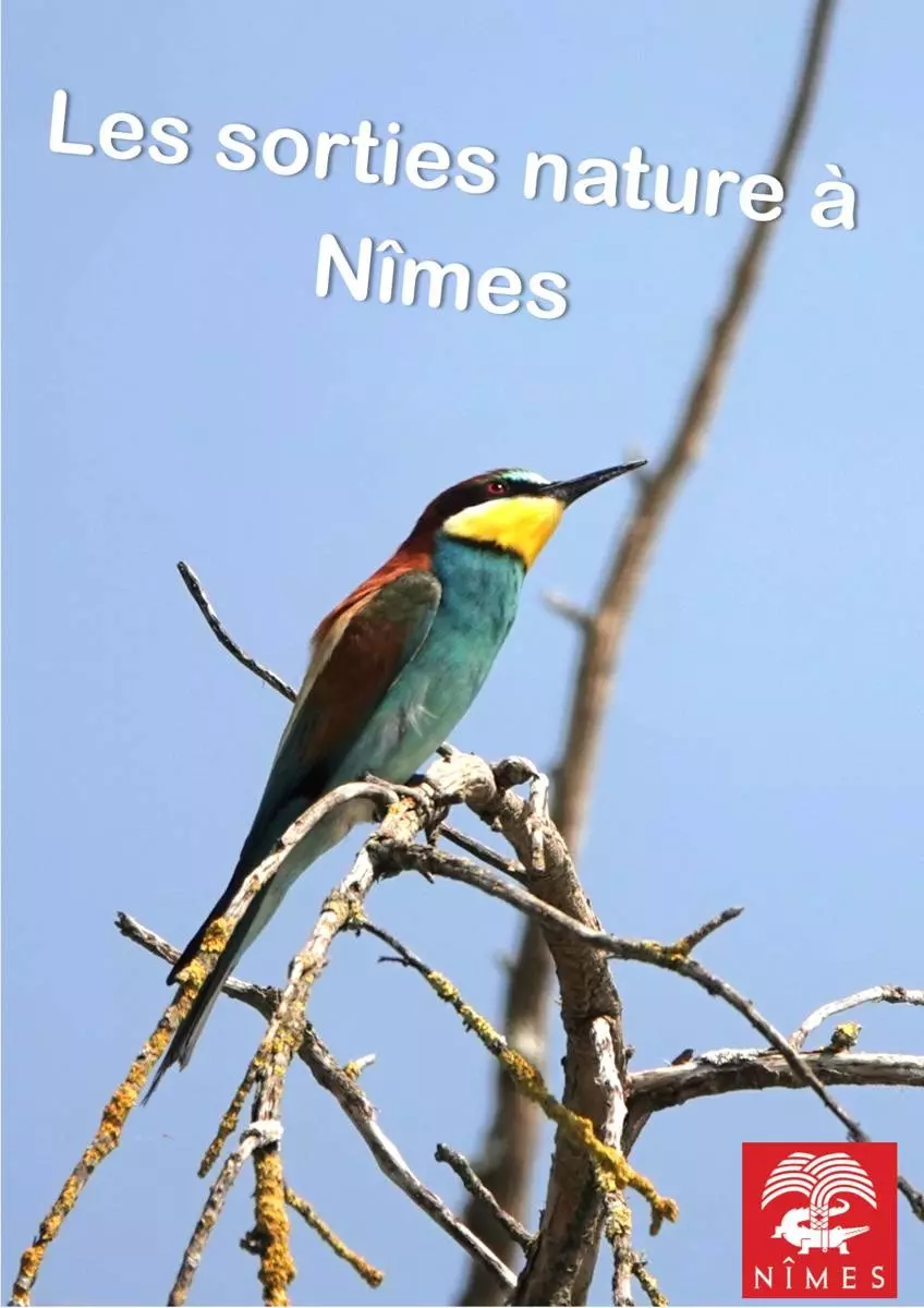 Sortie nature : Sur les traces des mammifères
