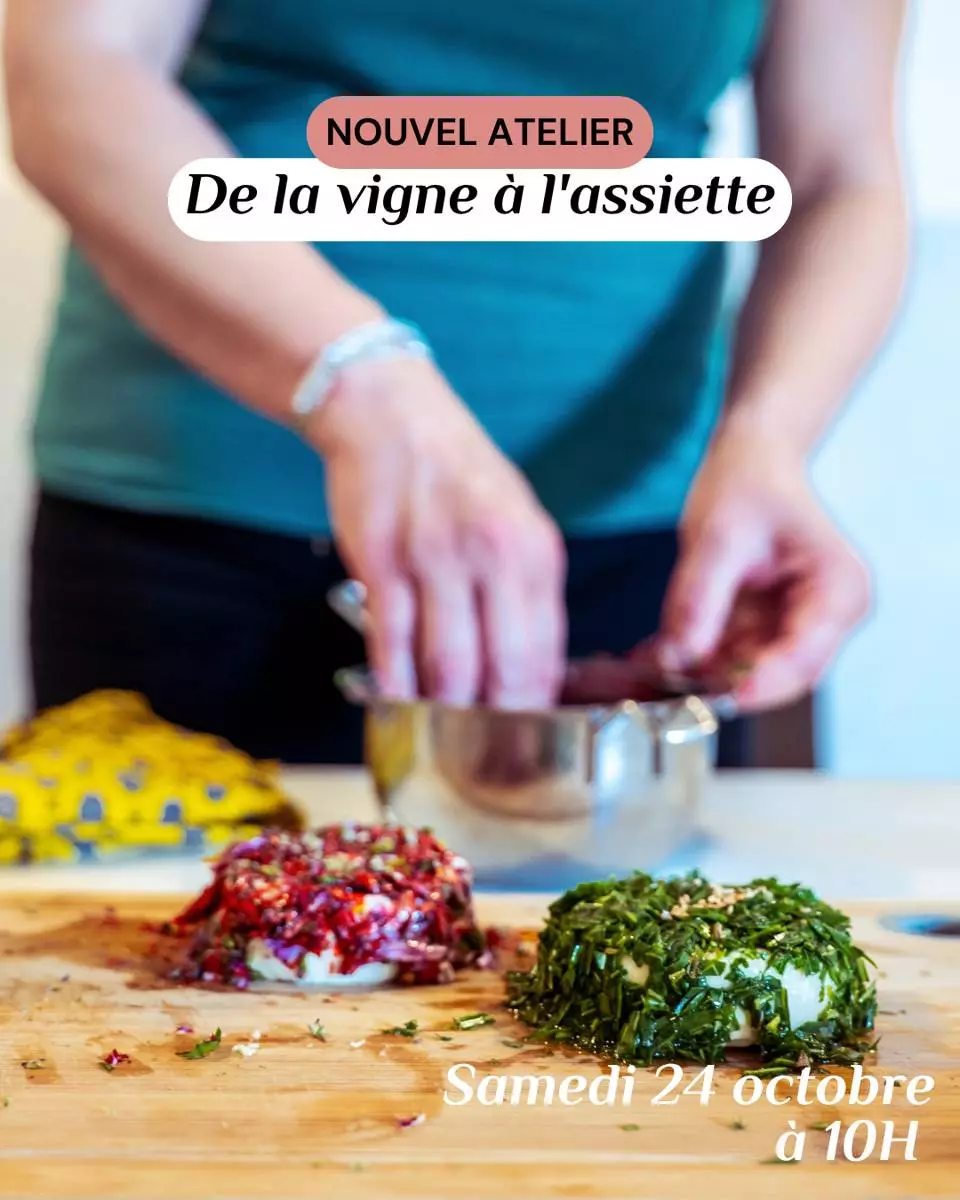 De la Vigne à l'Assiette : Cueillette, Cuisine & Accords Mets-Vins