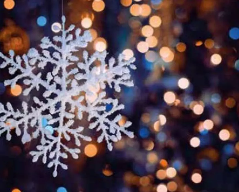 Le Fil à Plomb Fait Son Marché de Noël !