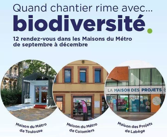 Apprendre à construire un nichoir