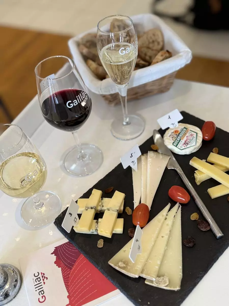 Atelier de dégustation vins et fromages - Maison des vins de Gaillac
