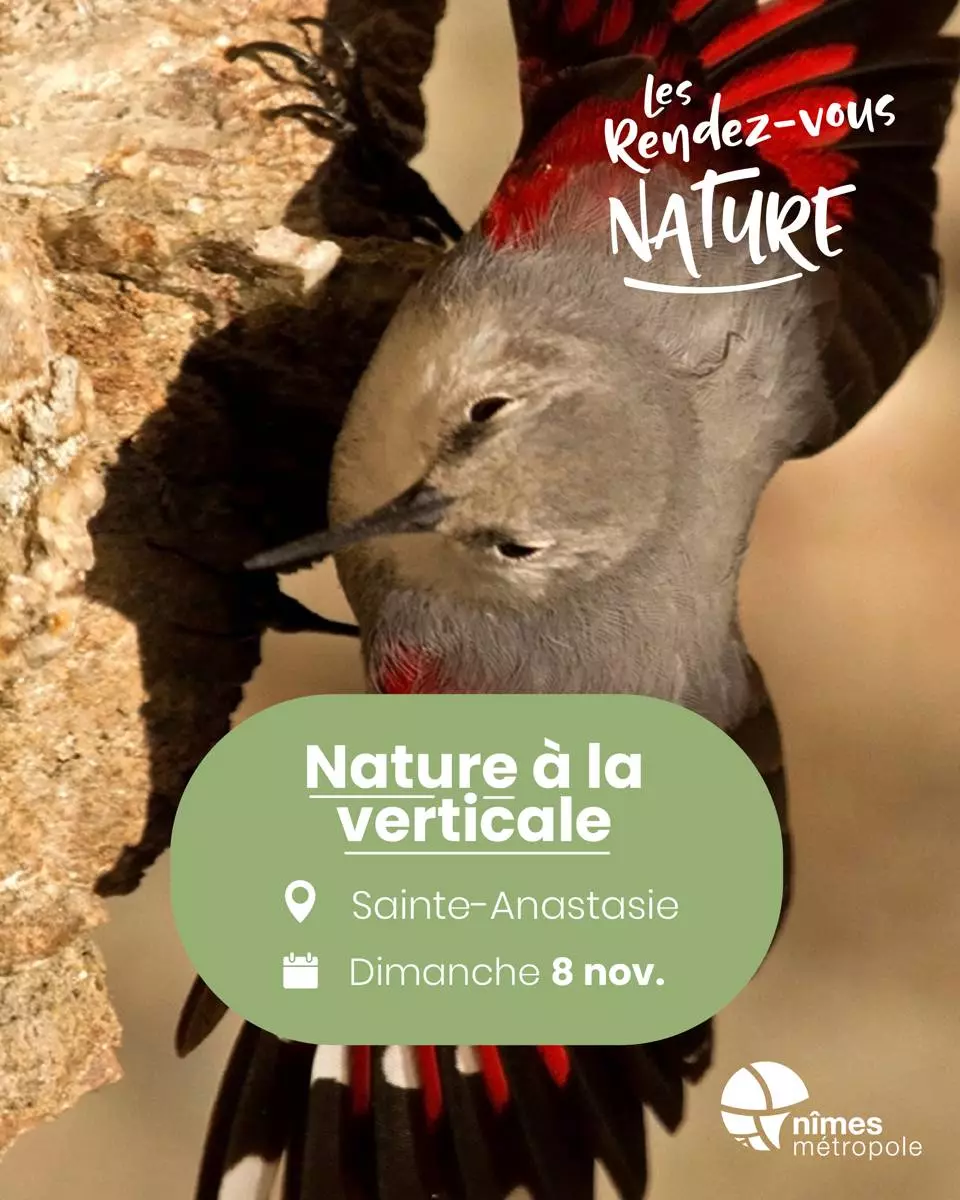 Rendez-vous Nature - Animations et balades gratuites à Sainte-Anastasie - Novembre
