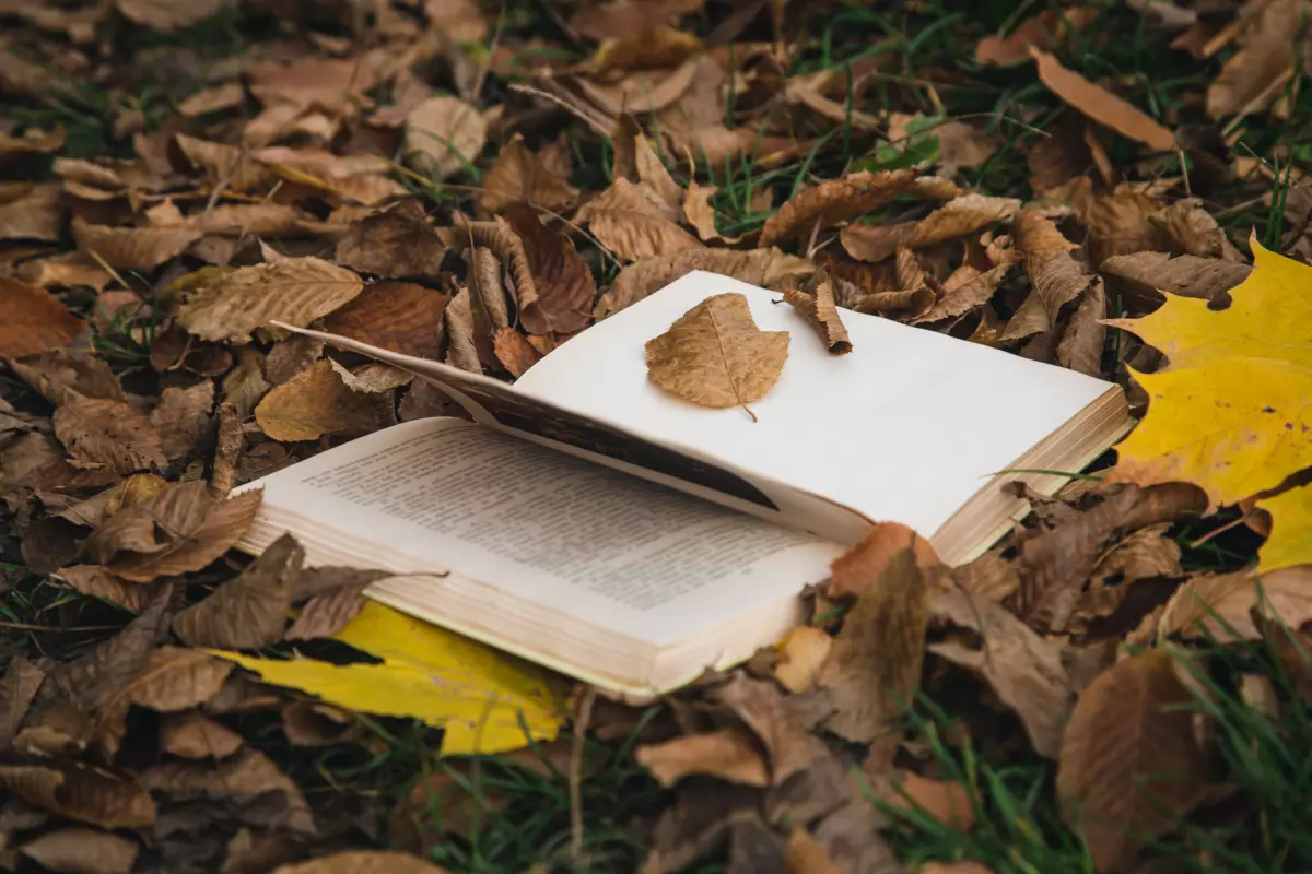 Atelier de curiosité : lire et dire la Terre