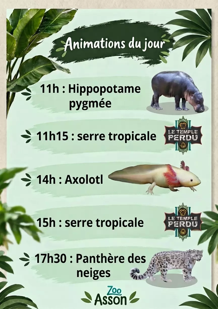 Animations Vacances d'Automne