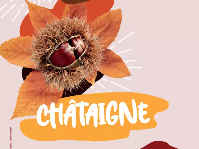 Foire de la Châtaigne