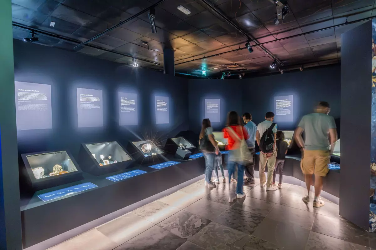 Visite adaptée de l'exposition " Minéraux, bien plus que des cailloux"
