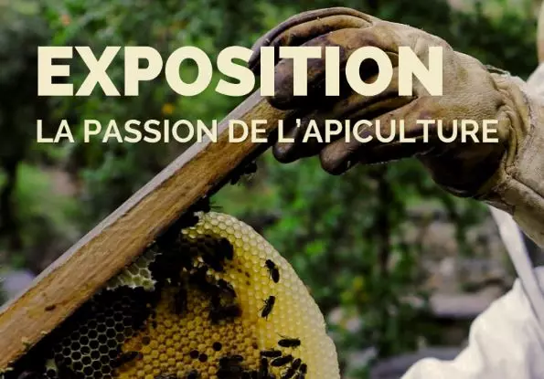 Exposition : Numa Bastide 2026 - la Passion de l'Apiculture