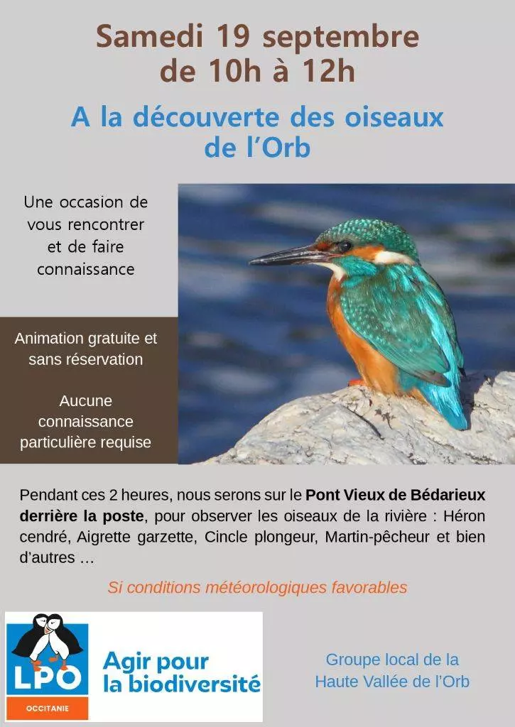 Lpo : Tout le Monde sur le Pont !