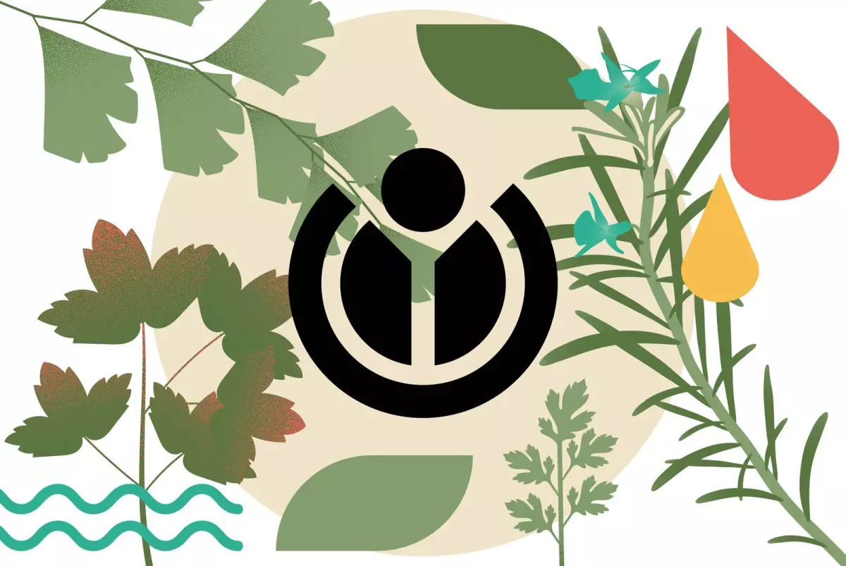 Wikipédia, le goût du partage