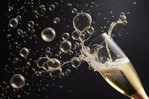 Atelier de Dégustation Spécial Bulles