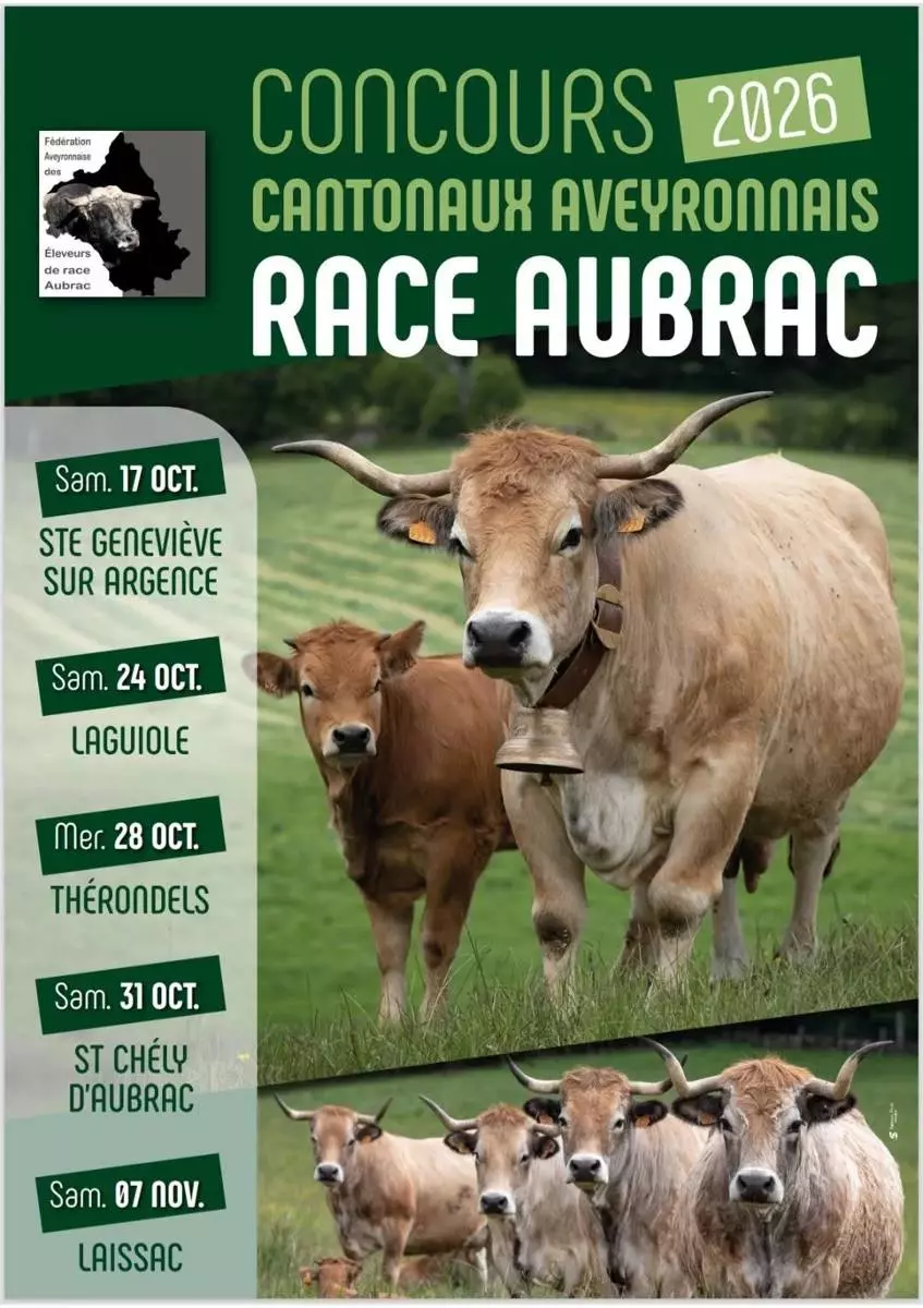 Concours cantonal de la Race Aubrac