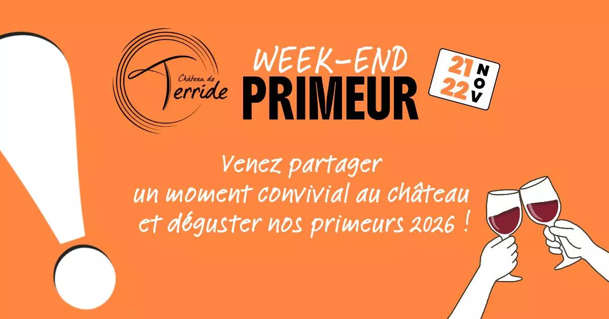 Chai mon vigneron au Château de Terride
