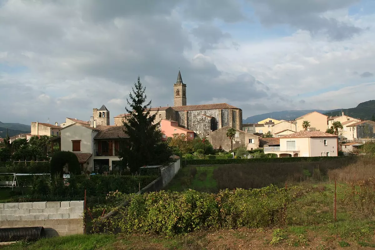 Concours de Belote