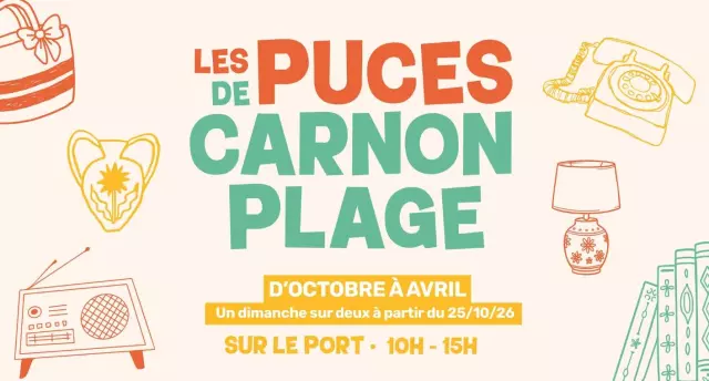 Les Puces de Carnon-Plage