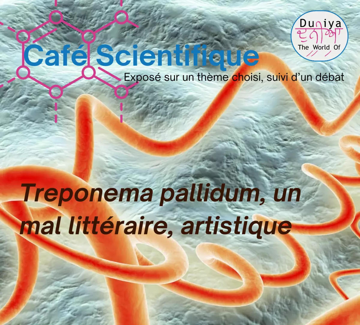 Café Scientifique : Treponema Pallidum, un Mal Littéraire, Artistique