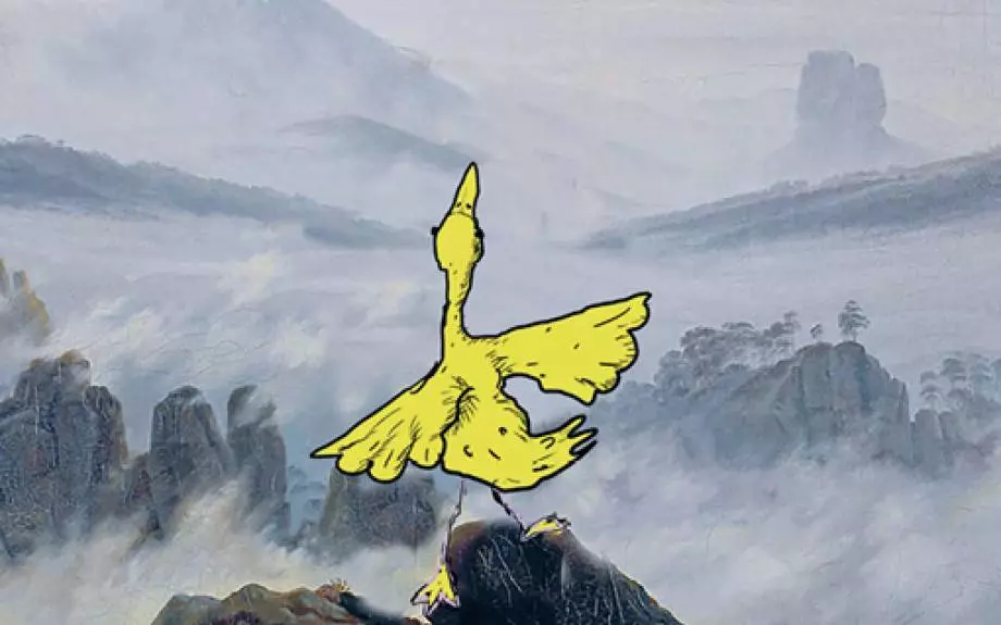 Canard Or Not Canard