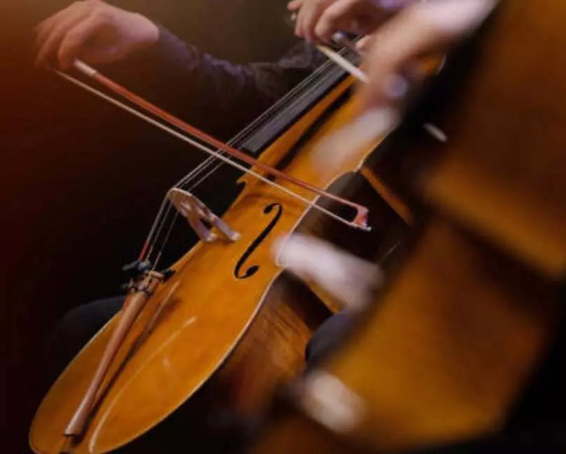 Mozart ? Flûte Alors !