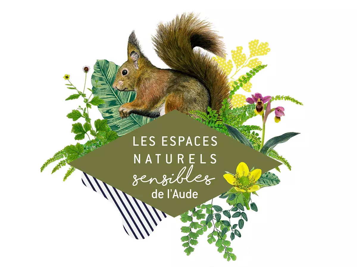 Ens - les Arbres en Hiver