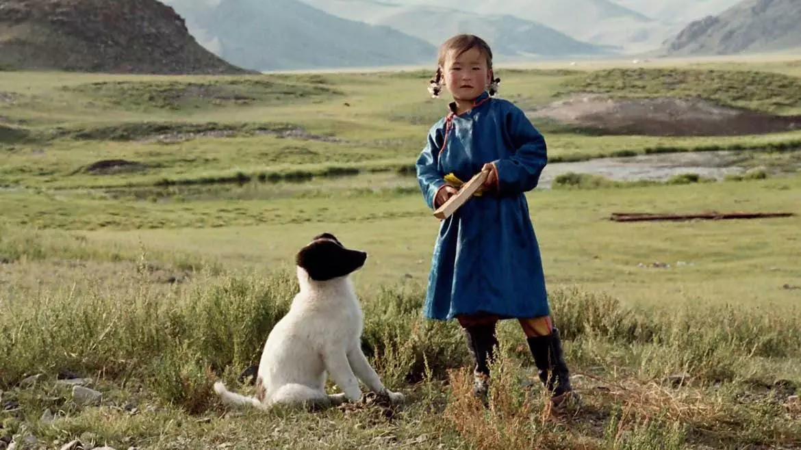 Cinéma Jeunesse : Le Chien Jaune de Mongolie