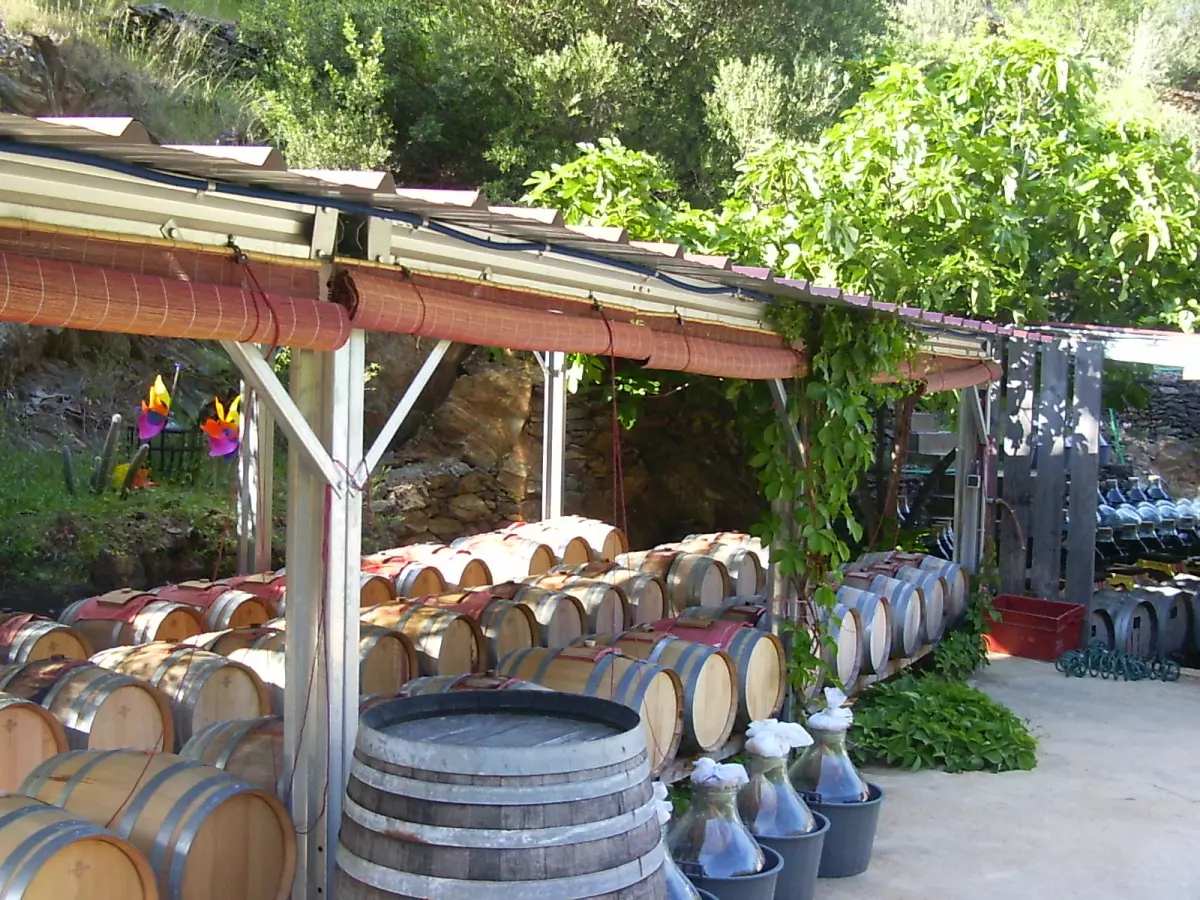 Visite-Degustation a la Vinaigrerie la Guinelle