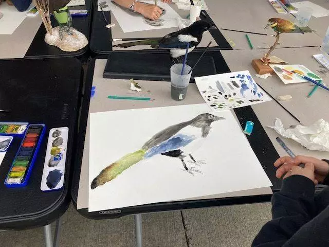Atelier de dessin d'après nature