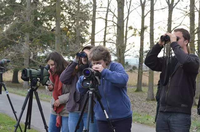 Observation des oiseaux au lac de Puydarrieux