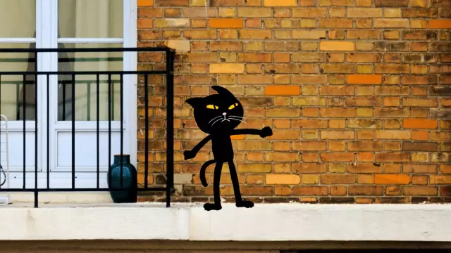 Les Chats Malicieux #tout-Petits