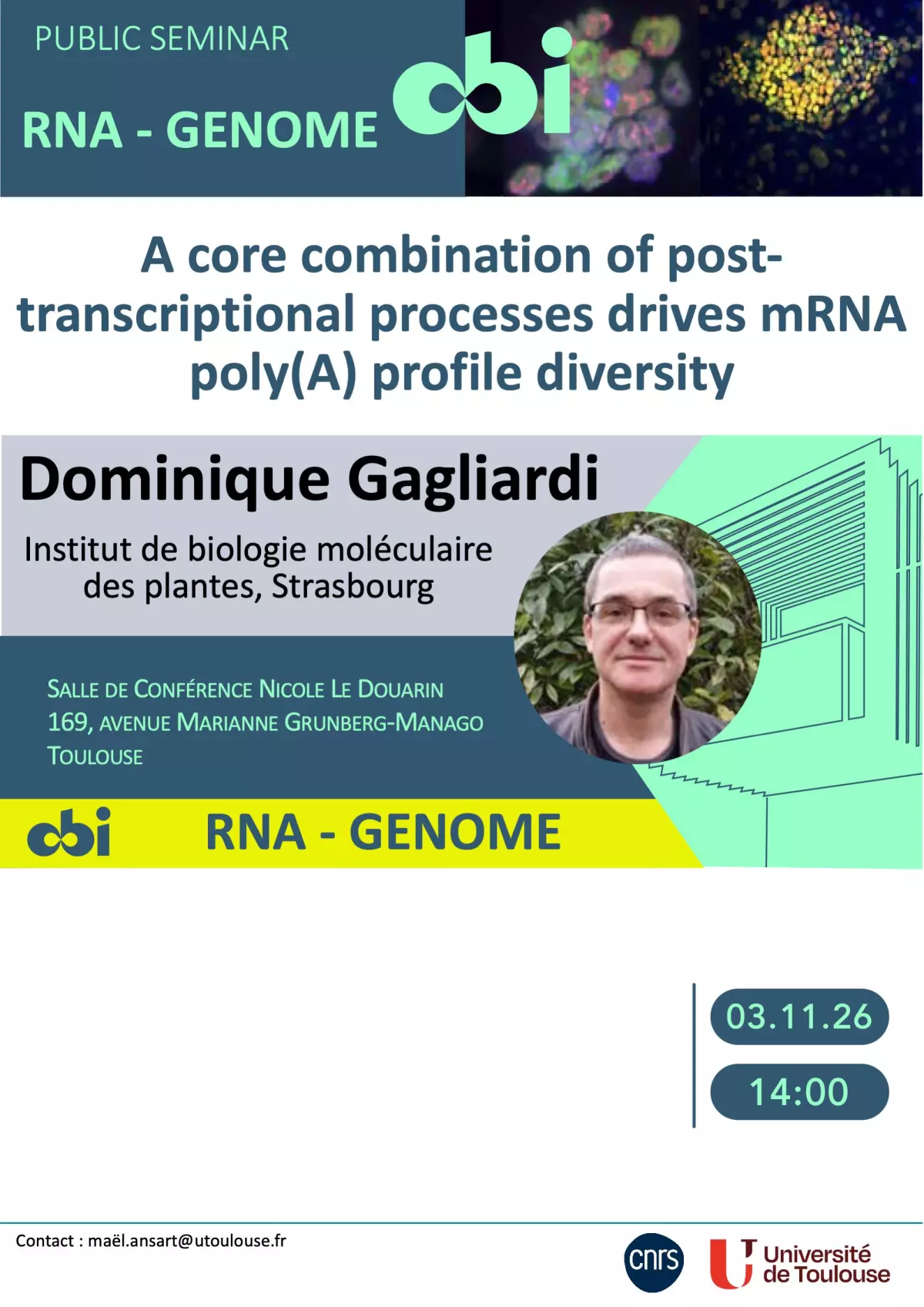 A core combination of post-transcriptional processes drives mRNA poly(A) profile diversity