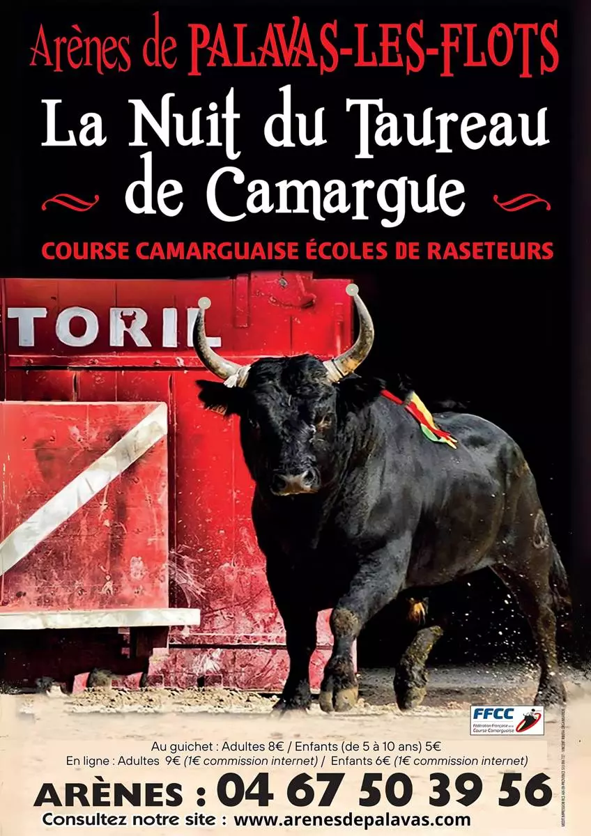"La nuit du taureau de Camargue"