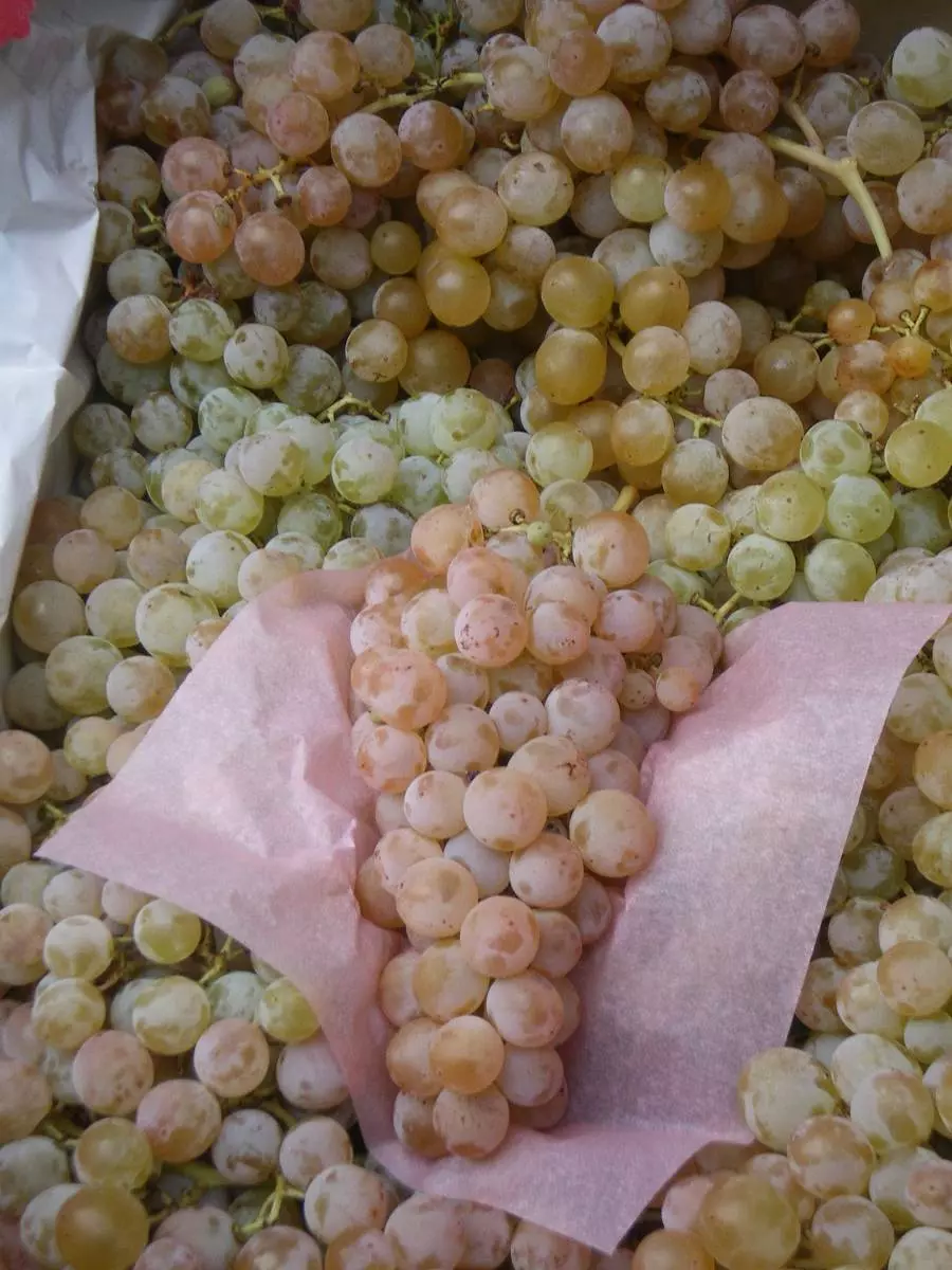 Petit Marché Traditionnel de Creissan