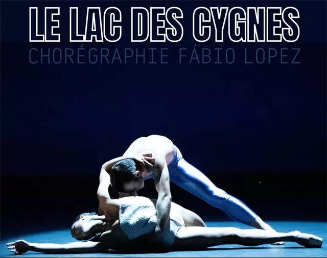 Spectacle "Le Lac des Cygnes"