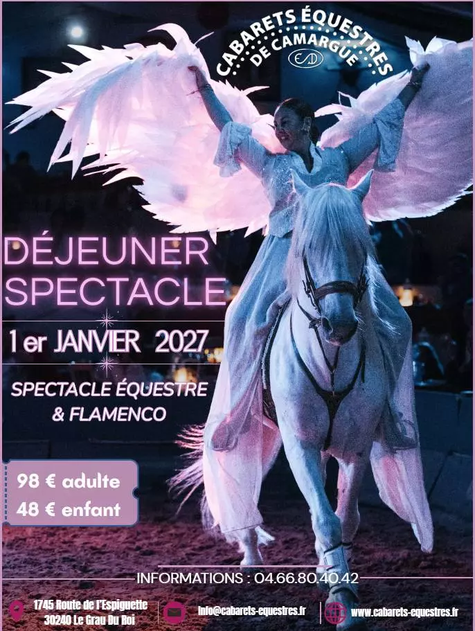 Déjeuner spectacle
