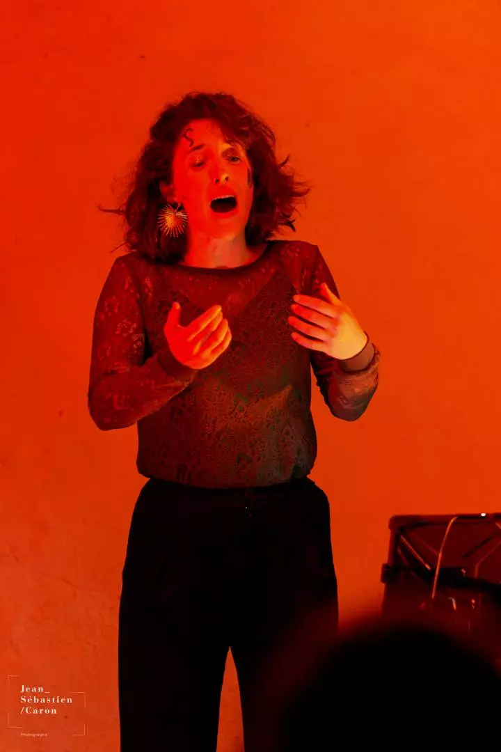 Concert - Le chant du cygne