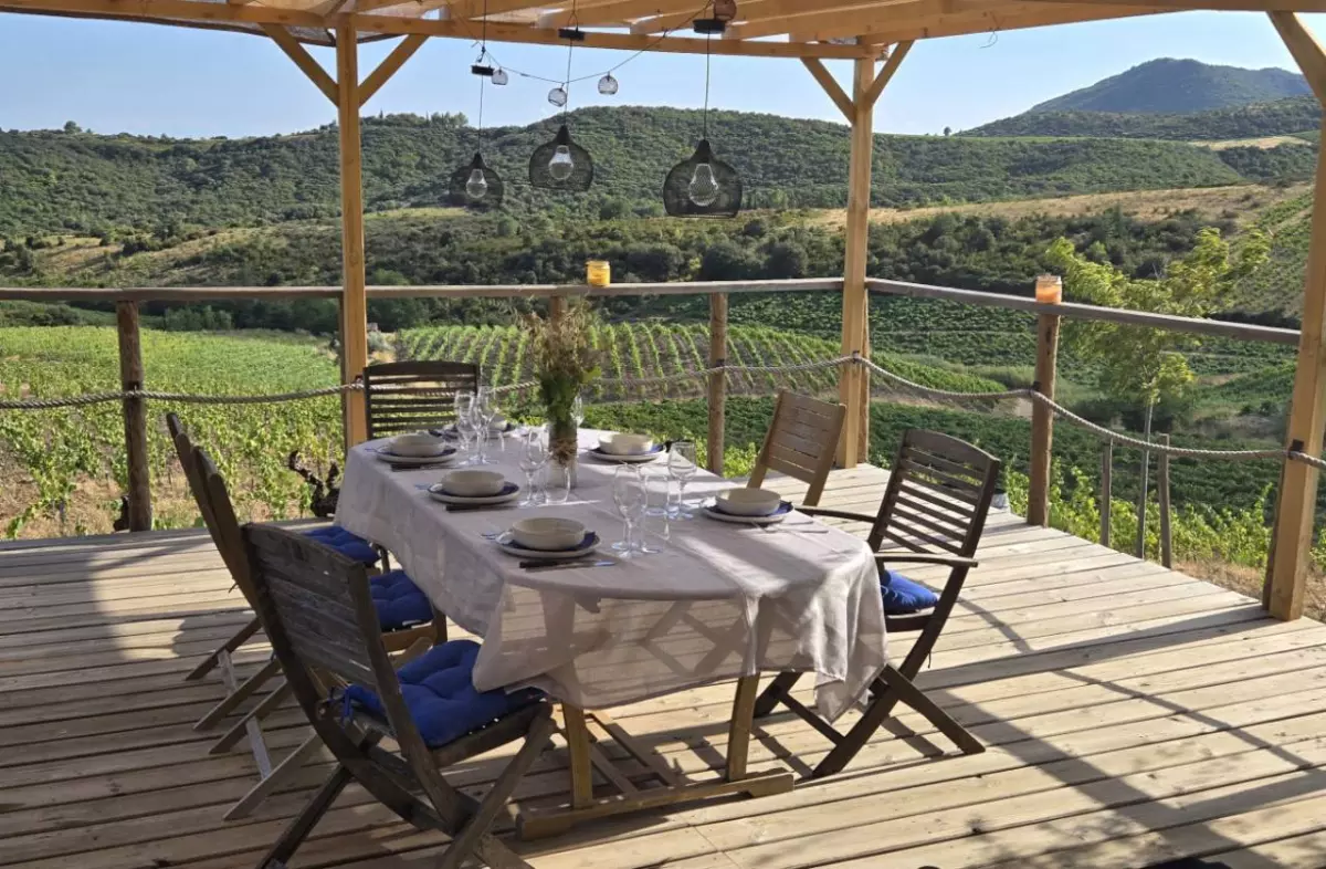 Vitichef : Balade Vigneronne, Dégustation de Vins & Bbq de Viande Angus de la Ferme.