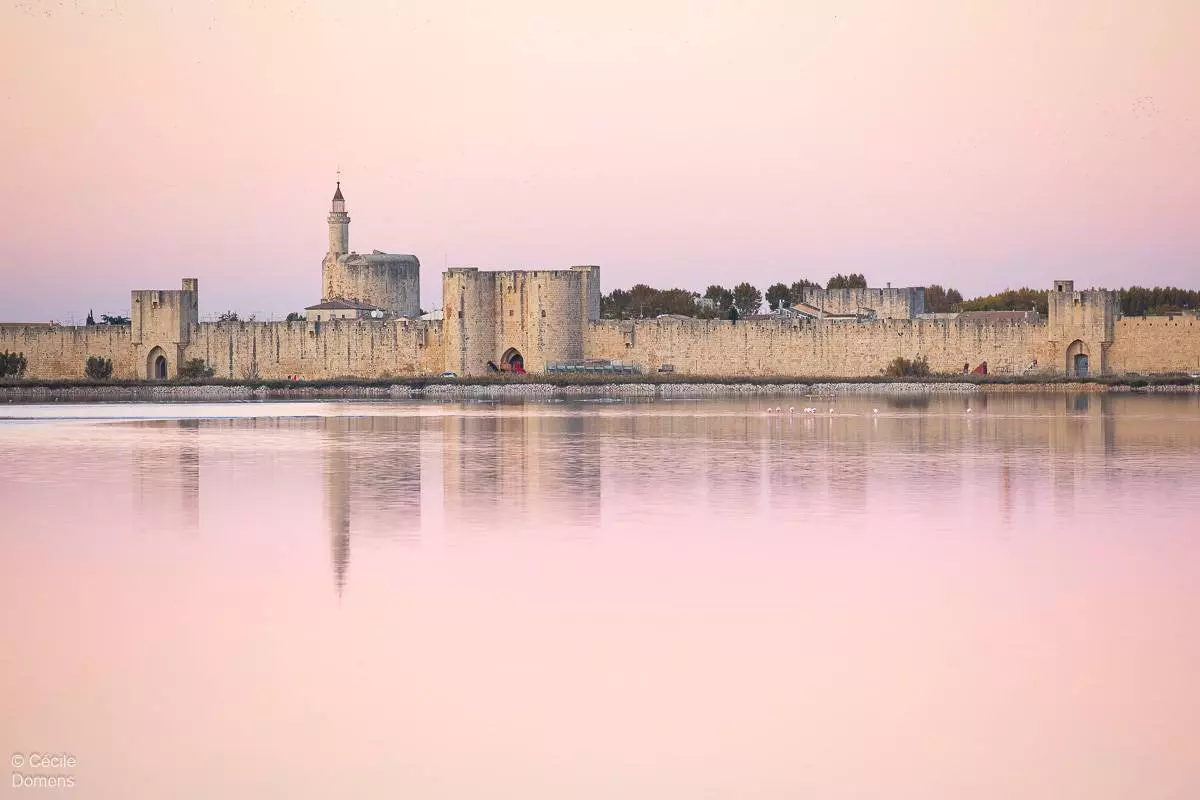 Ateliers photo : "Salins d'Aigues-Mortes" - Cécile Domens