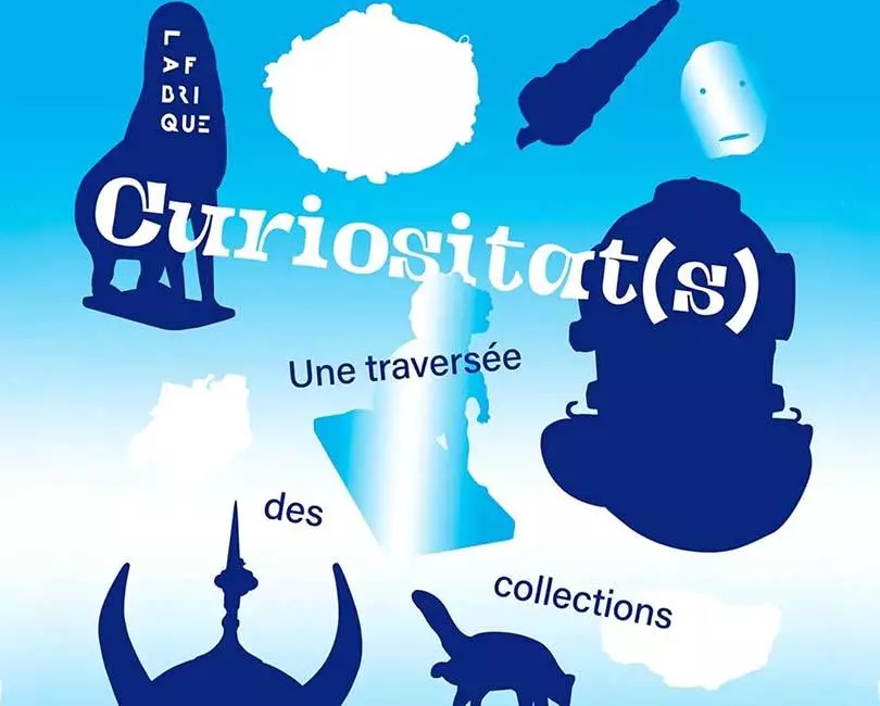 Curiositat(S)