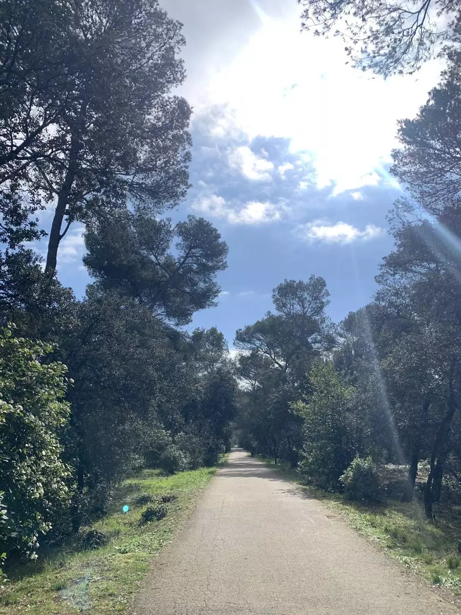 Sortie Nature : Le bois de Montmaur et le risque incendie.