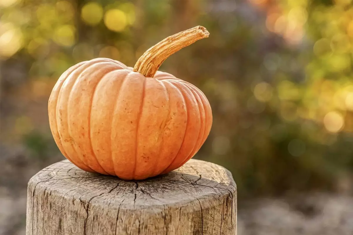 L’APE fête Halloween